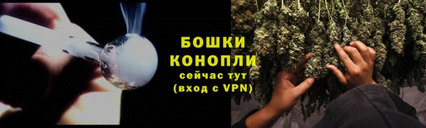 гидра Переславль-Залесский