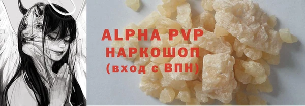 гашик Пересвет