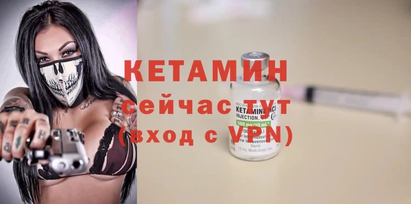 гашик Пересвет