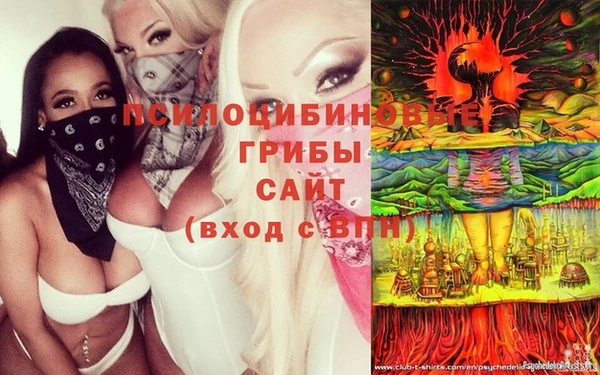 гидра Переславль-Залесский