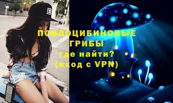 гидра Переславль-Залесский