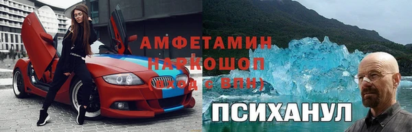 гашик Пересвет