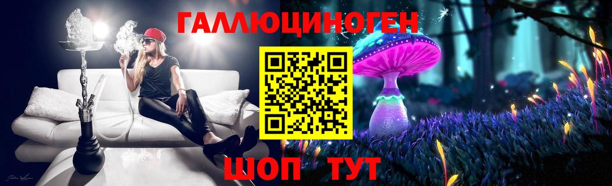 Галлюциногенные грибы Psilocybine cubensis Люберцы